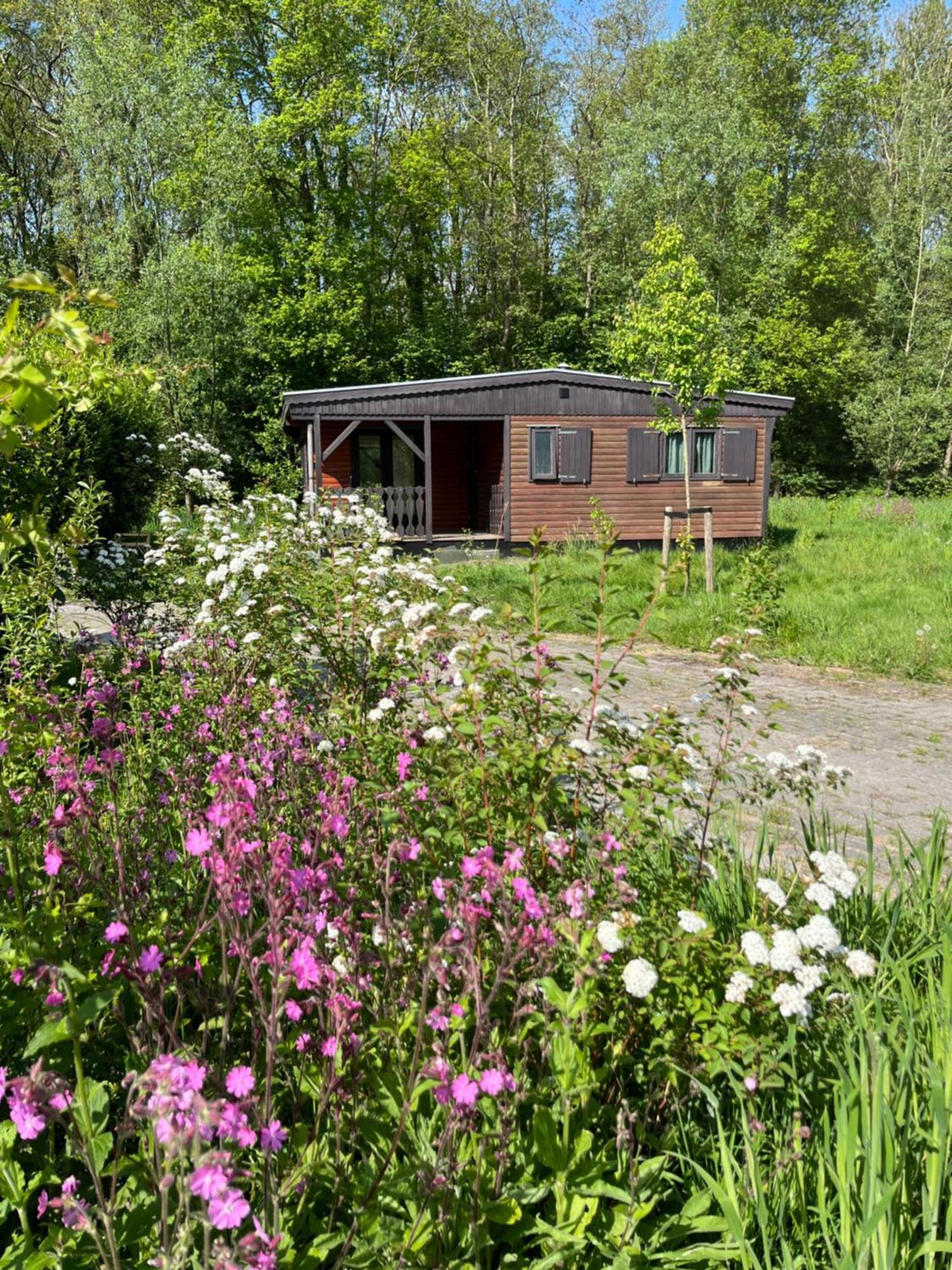 Hoeve Veganza B&B Vlagtwedde 외부 사진