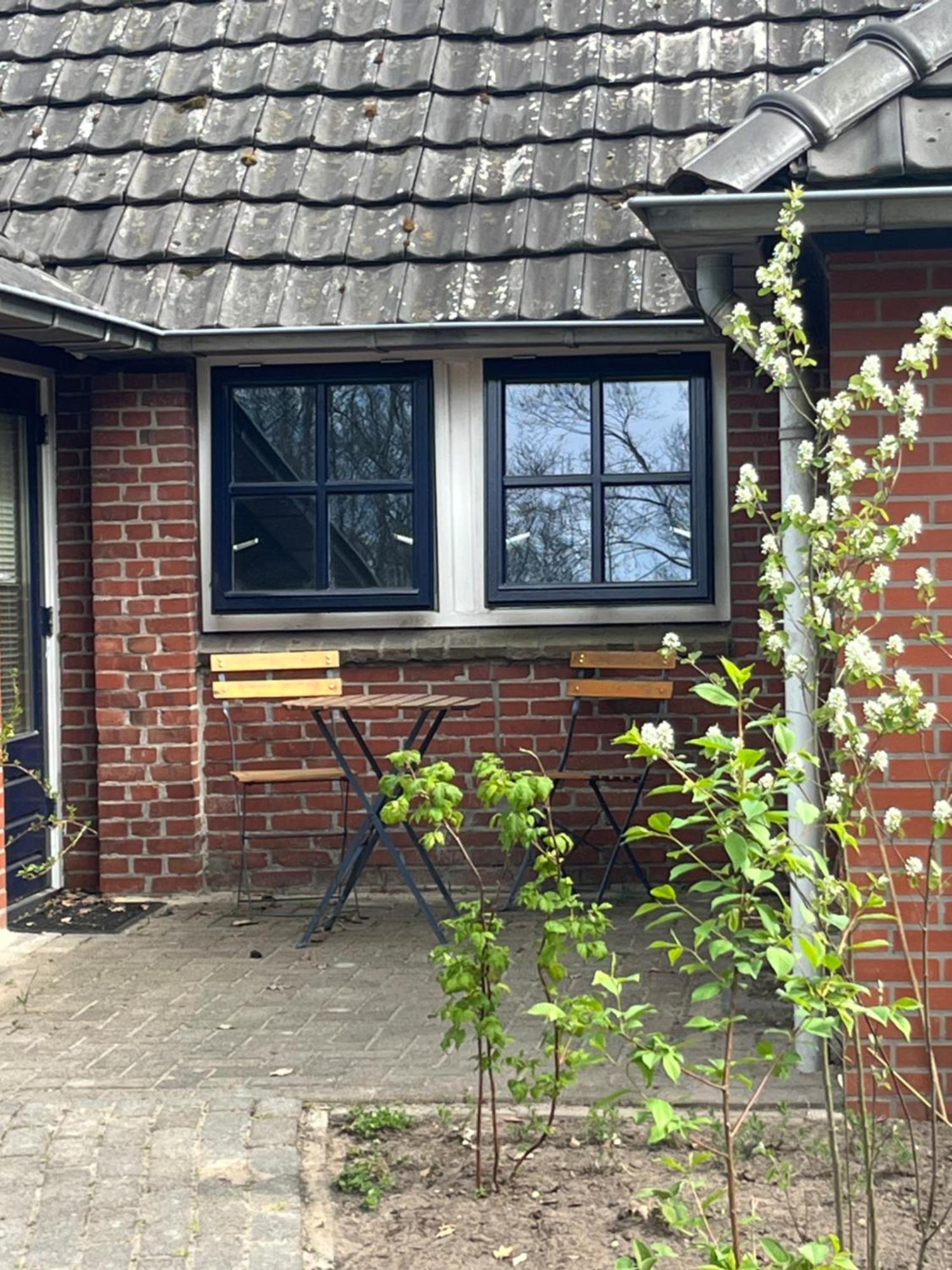 Hoeve Veganza B&B Vlagtwedde 외부 사진