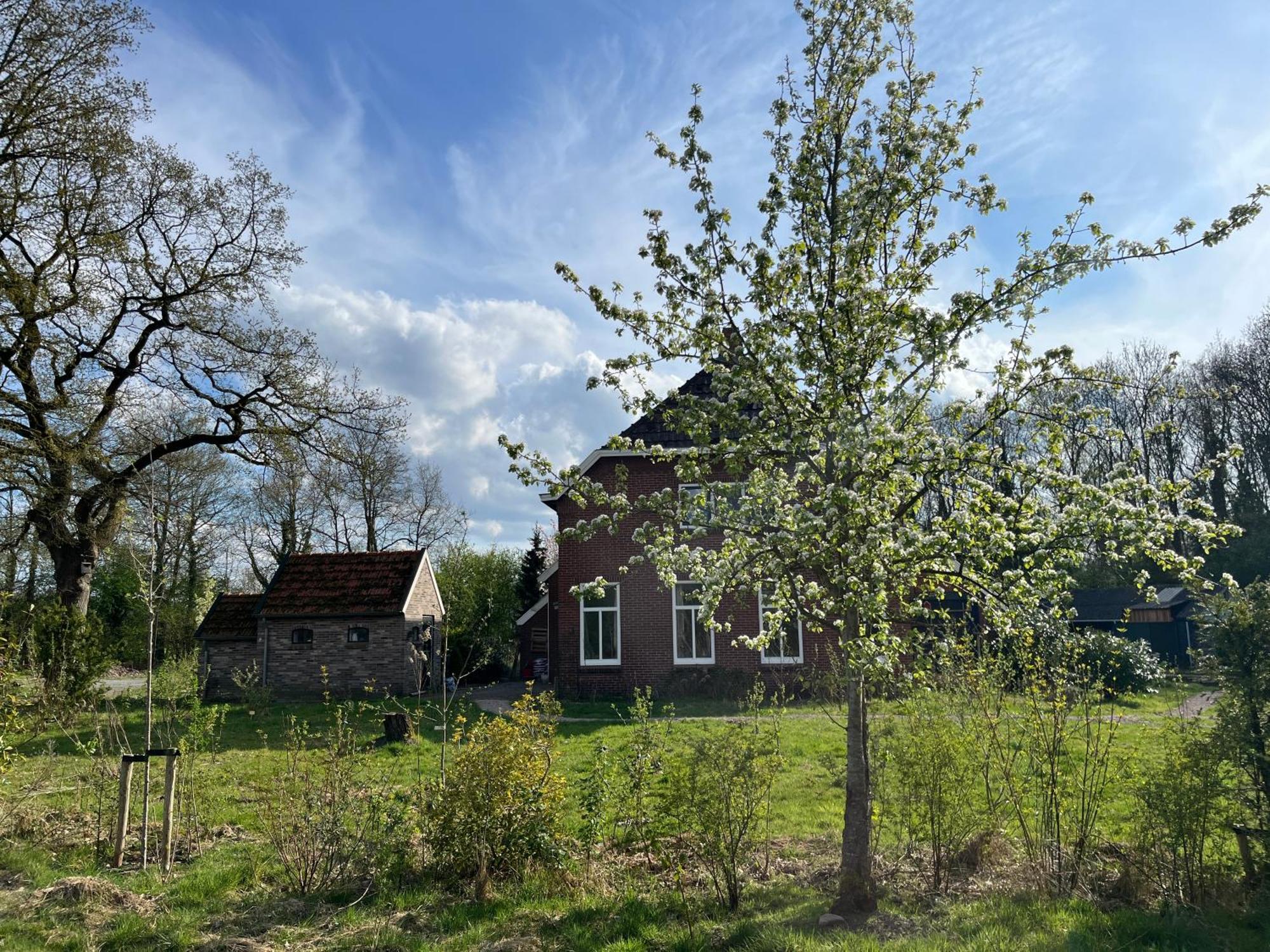Hoeve Veganza B&B Vlagtwedde 외부 사진
