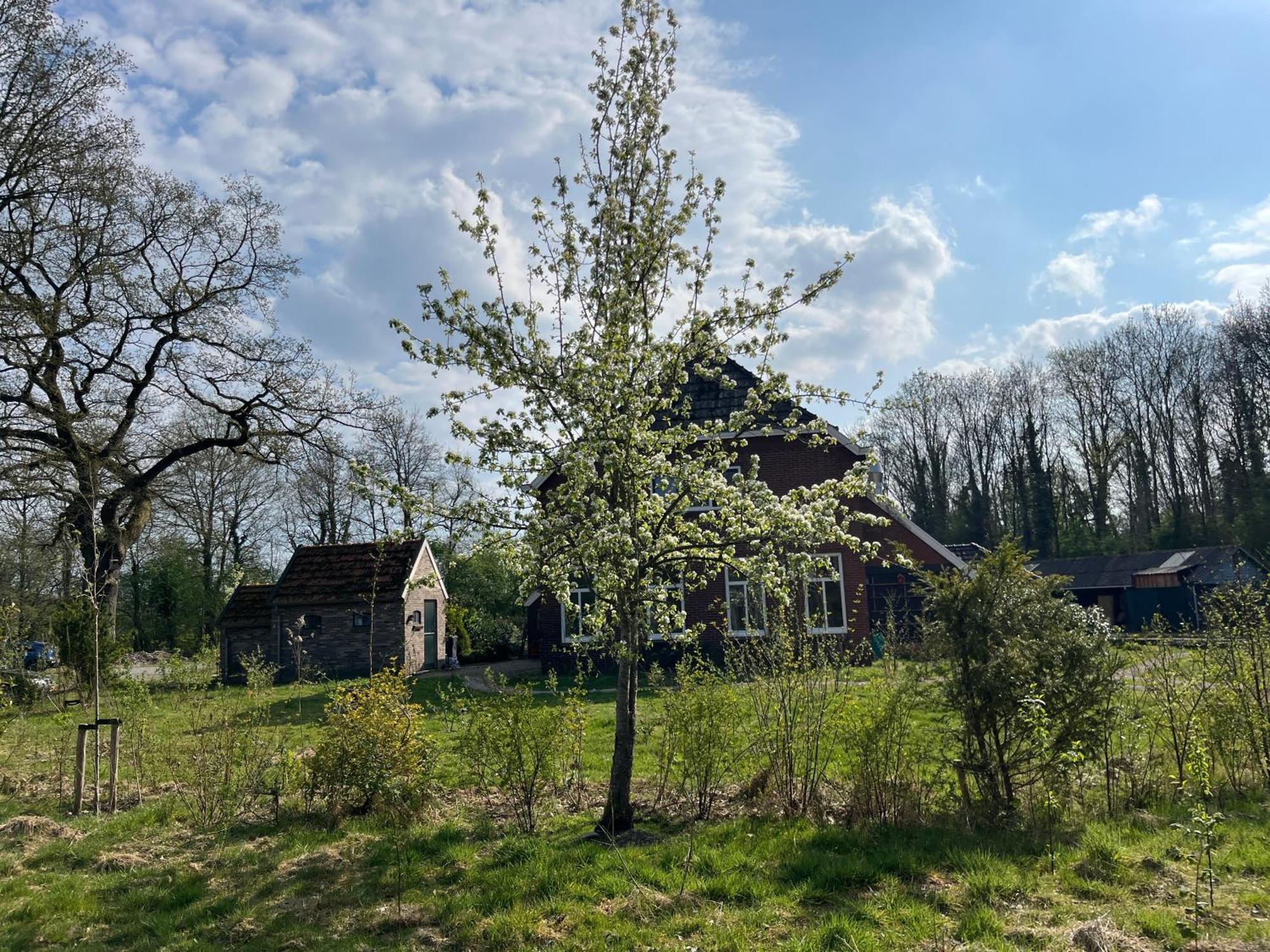 Hoeve Veganza B&B Vlagtwedde 외부 사진